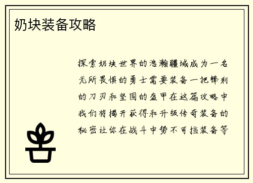 奶块装备攻略